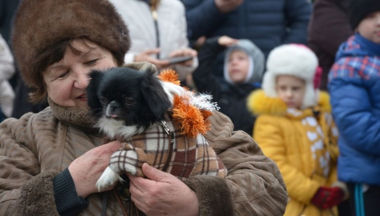 В преддверии года Собаки в Мариуполе прошел «ГАВ-парад» (ФОТО)
