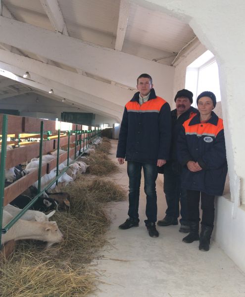 Собственник козьей фермы под Мариуполем выиграл грант на развитие сельского хозяйства (ФОТО)