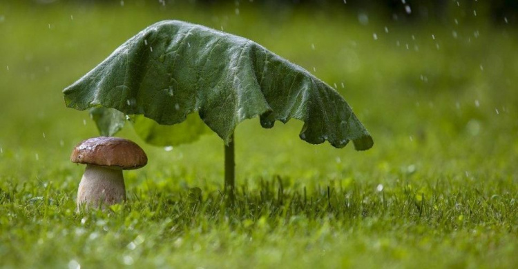 В Мариуполе летнюю жару разбавят дожди с грозами