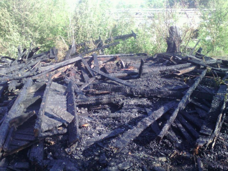 В Мариуполе пожарные два часа боролись с огнем в Приморском парке (ФОТОФАКТ)