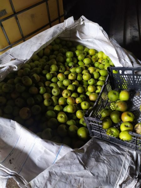 Яблоки не пропадут: в Мариупольском районе фермеру помогут реализовать продукцию
