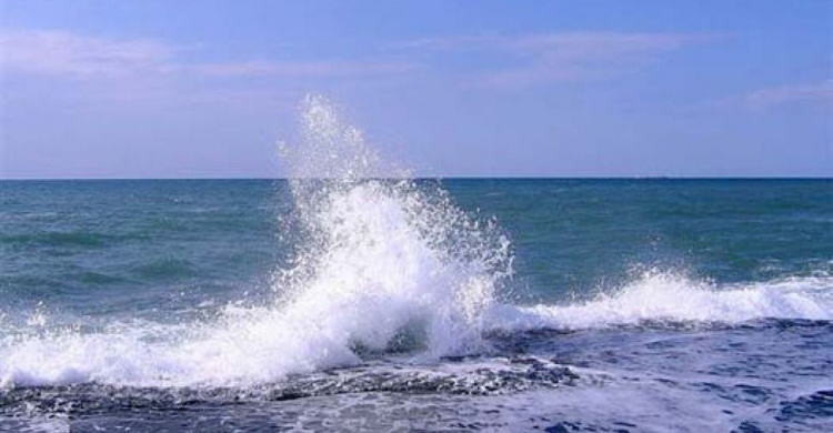В морской воде на пляжах Мариуполя обнаружена кишечная палочка