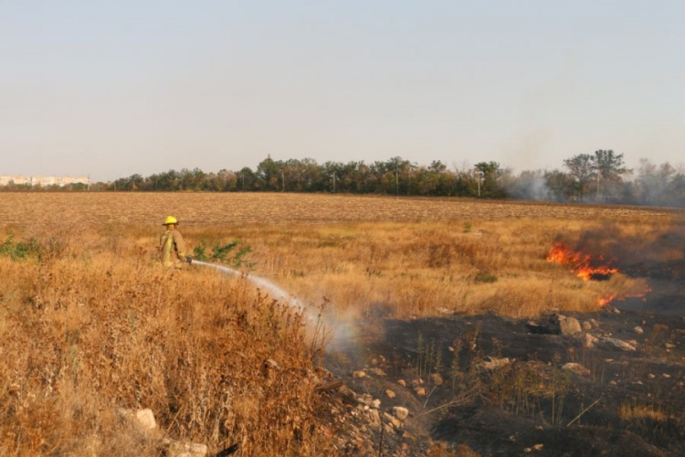 Под Мариуполем пламя охватило четыре гектара земли (ФОТО+ВИДЕО)