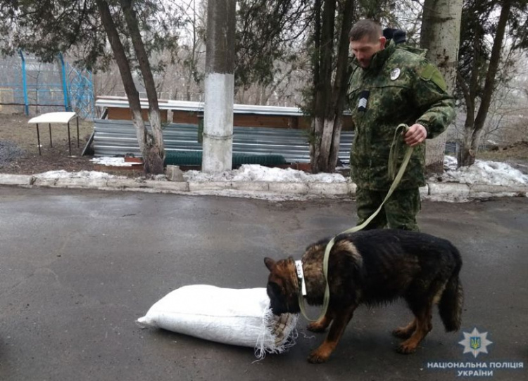 В кинологический центр в Мариуполе прибыли собаки из семи областей Украины (ФОТО)