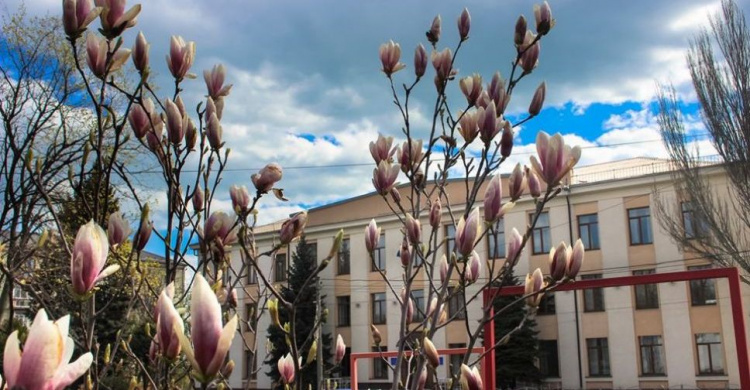 Карантинная весна: мариупольцам с высоты птичьего полета показали, как цветет город (ФОТОФАКТ)