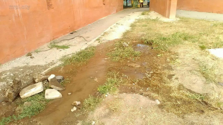 Питьевая вода заливает улицу в Левобережном районе Мариуполя (ФОТОФАКТ)