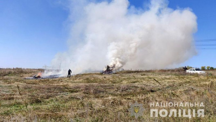 Полмиллиона кустов конопли сожгли в Донецкой области. Наркоплантацию нашли в селе (ФОТО)