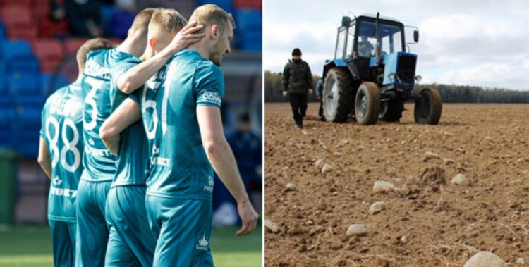 В Беларуси футболистов отправили работать в колхоз за серию поражений