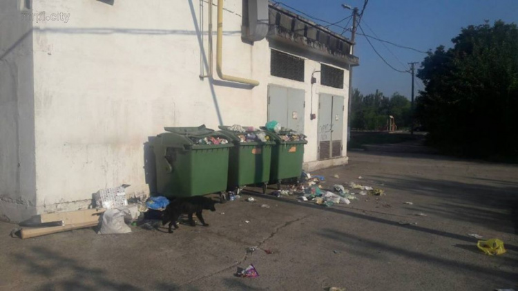 Тонущий в отходах ОСМД Мариуполя и мешки с «сюрпризом» из соседнего магазина (ФОТО)