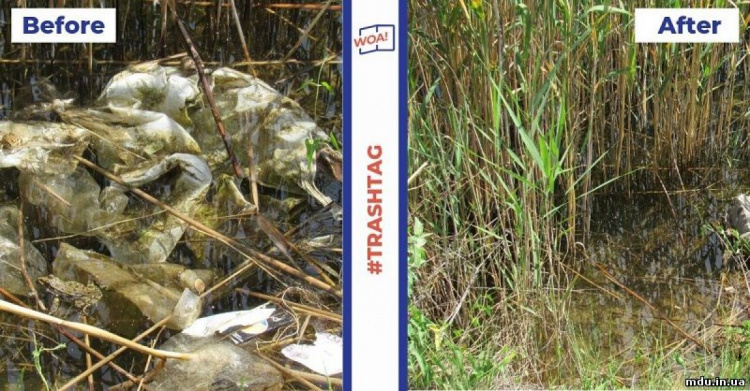 Мариупольцы заняли первое место в конкурсе Посольства США по борьбе с пластиком (ФОТО)