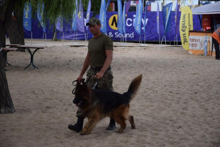 Легендарный мариупольский пес-полицейский проверил территорию феста (ФОТОФАКТ)