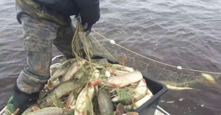 В Мариуполе любителю рыбалки грозит три года за решеткой