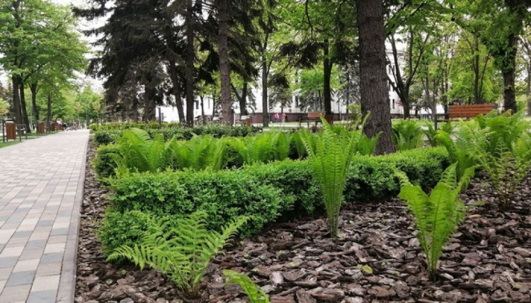 В центре Мариуполя зазеленел Театральный сквер (ФОТО)