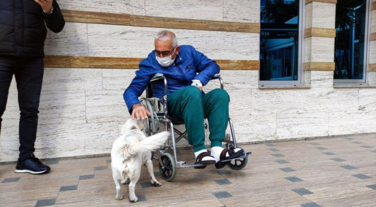 Возвращение Хатико: в Турции собака 6 дней ждала под больницей своего хозяина