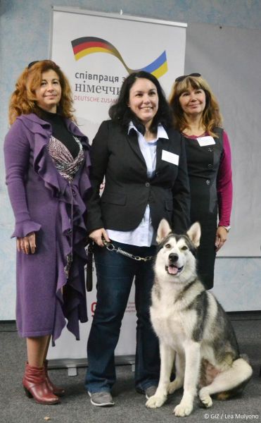 Кинологи Мариуполя с помощью собак будут реабилитировать переселенцев (ФОТО)