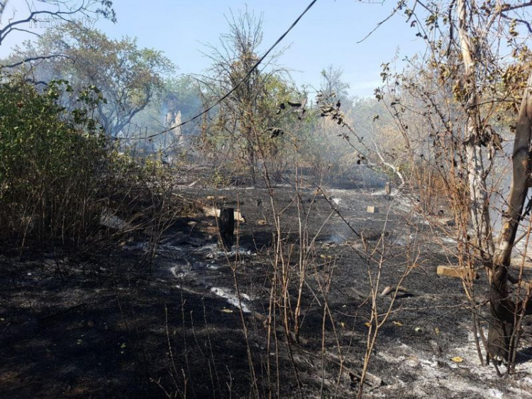 Дачи в огне: в Мариуполе тушат масштабный пожар (ФОТО+ВИДЕО)