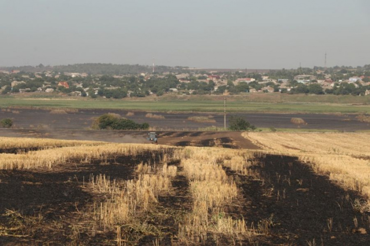 Пожар в заповеднике вблизи Мариуполя: нанесен колоссальный вред природе