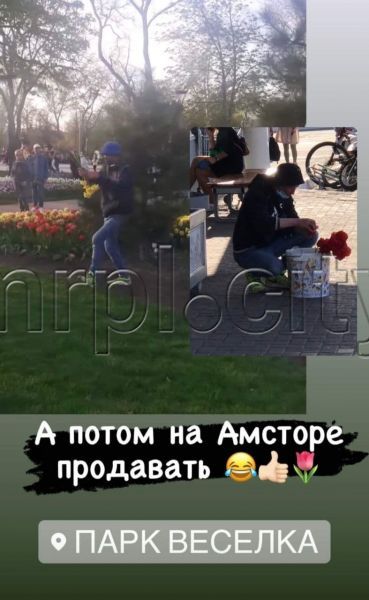 В Мариуполе мужчина «делает бизнес» на сорванных в парке «Веселка» цветах?