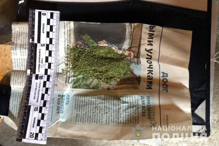 Мариуполец выращивал в огороде наркотики: изъяли килограмм конопли