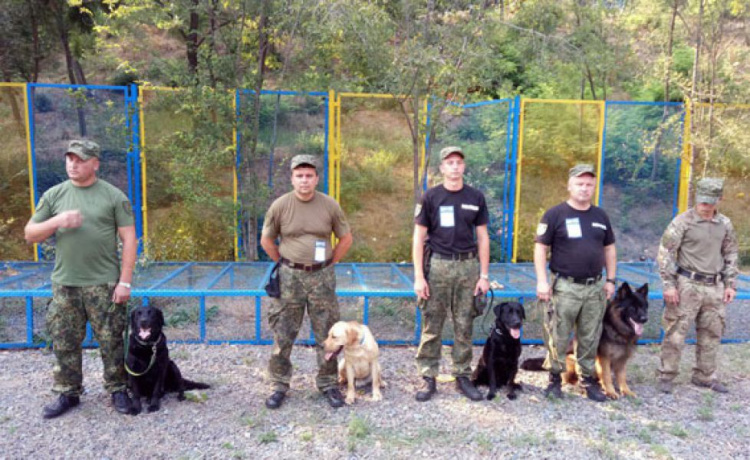 Собаки-полицейские в Мариуполе отвлеклись от дежурства ради соревнований (ФОТО)