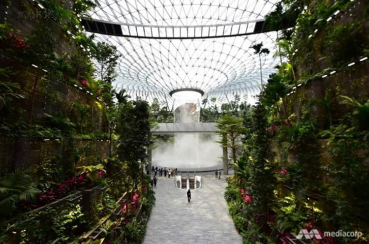 В аэропорту Сингапура построили сады и водопад (ФОТО+ВИДЕО)