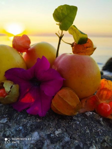Перья, цветы и физалис: мариупольчанка удивляет снимками с побережья Азовского моря