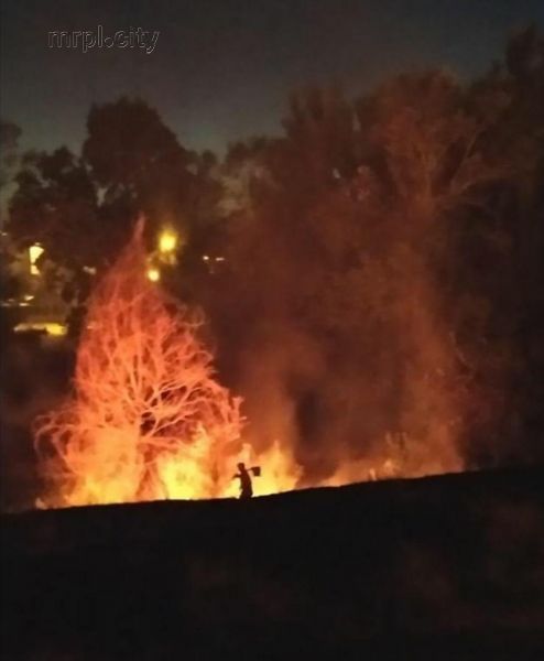 В Мариуполе горит парк им. Гурова (ФОТО+ВИДЕО)