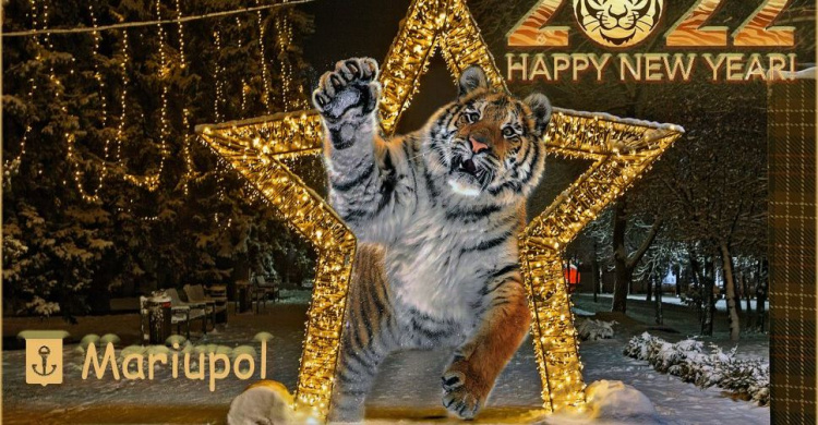 Тигр на улицах Мариуполя: местный житель создал открытки к Новому году