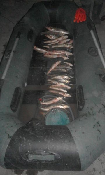 Мариупольские браконьеры выловили рыбу на 30 тысяч грн и три сотни раков (ФОТО)