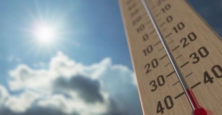 Уходящий год стал самым теплым в истории Украины