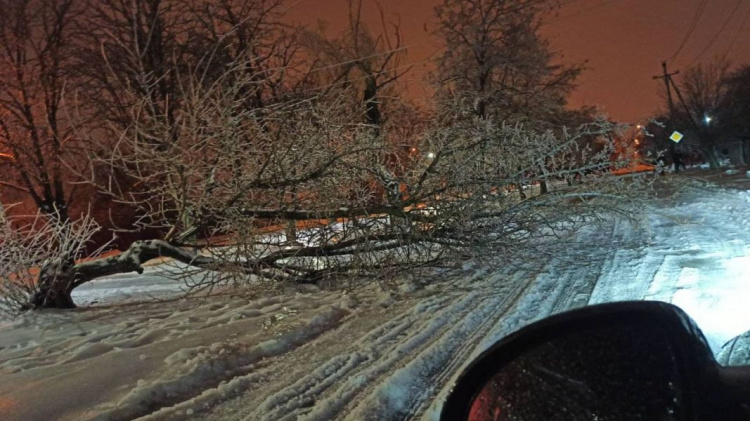 Улица Московская - Панфилова упало дерево прям на дорогу