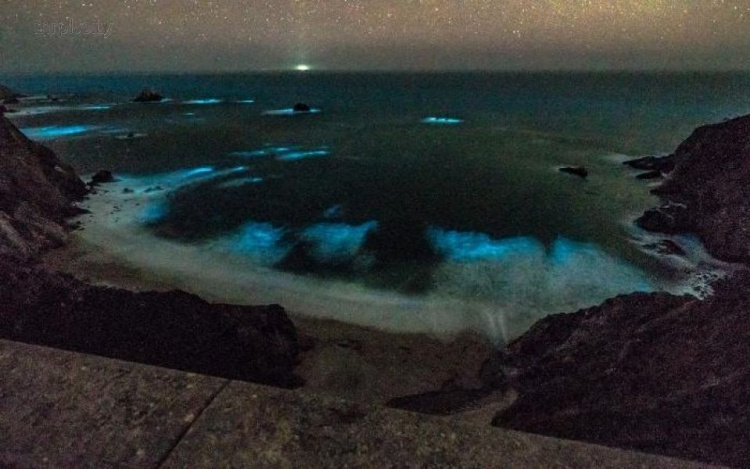 В Калифорнии начал светиться океан (ФОТО+ВИДЕО)