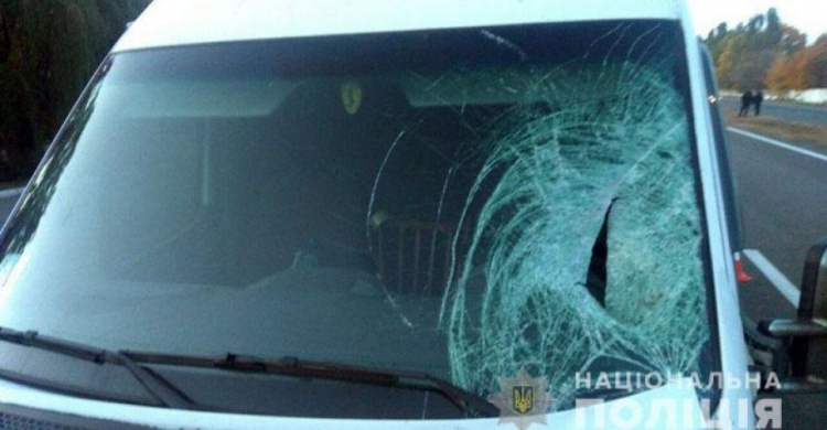 Под Мариуполем водитель микроавтобуса сбил 18-летнего парня (ФОТО)