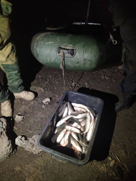 В Кальмиусе мариупольцы выловили рыбы почти на 300 тысяч гривен