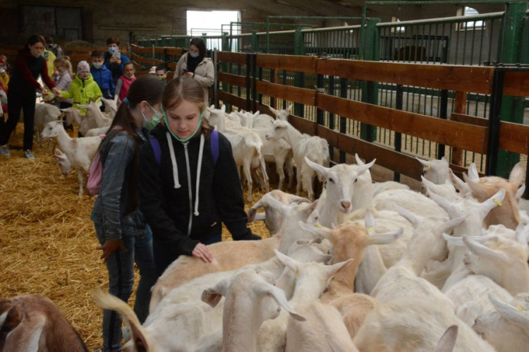 К празднику Вадим Новинский организовал детям из Мариуполя экскурсию на эко-ферму