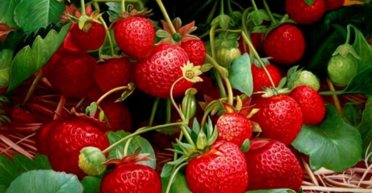 Садоводов Мариуполя предупредили: чудо-ягодницы клубники из интернета можно, но осторожно