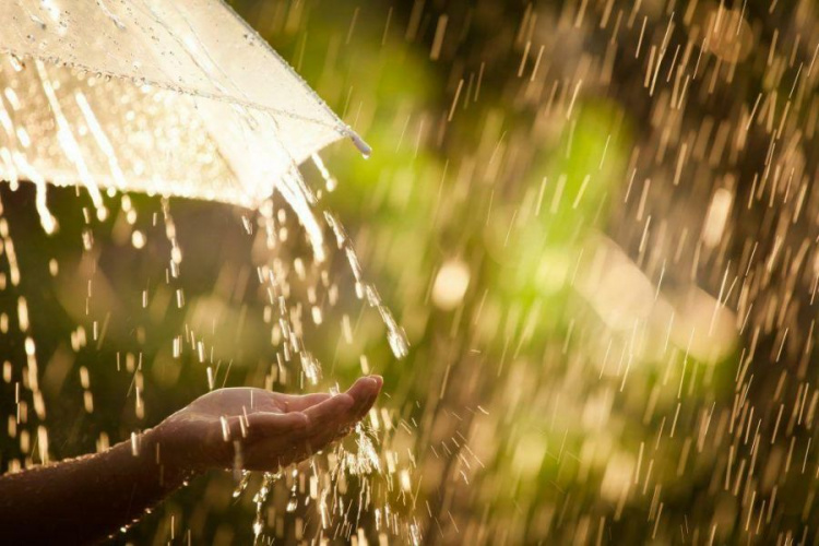Доставайте зонты: в Мариуполе ожидается дождь и гроза
