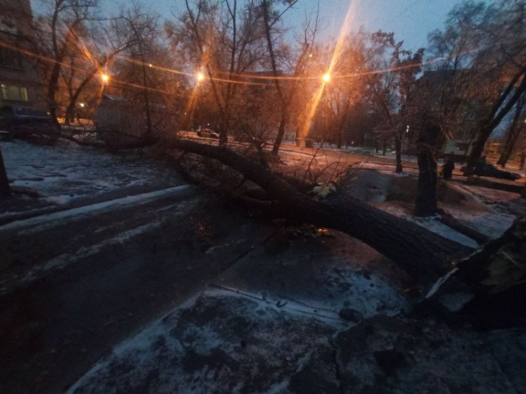 Мариупольцы страдают от последствий непогоды: повреждены деревья и оборваны провода