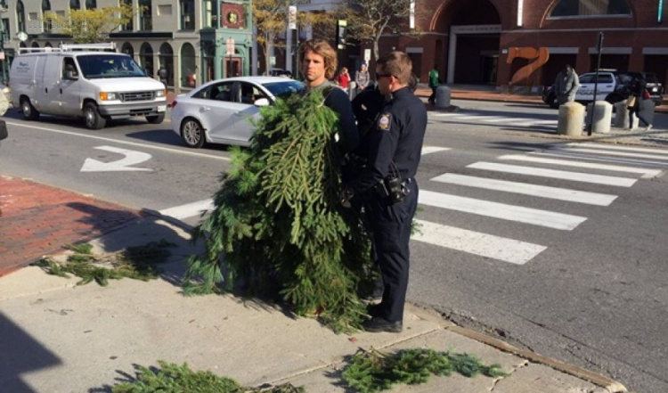 В США арестовали «человека-дерево» (ФОТО+ВИДЕО)