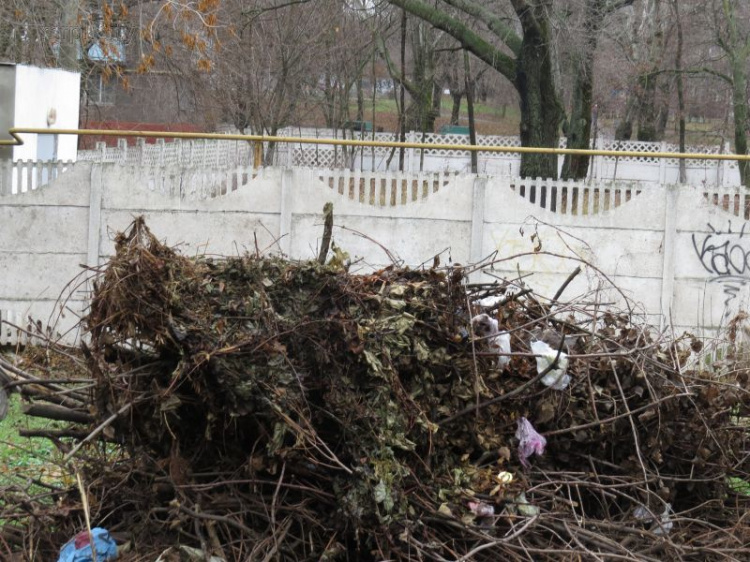 «Неприкасаемая» свалка в центре Мариуполя доживает последние минуты (ФОТОФАКТ)