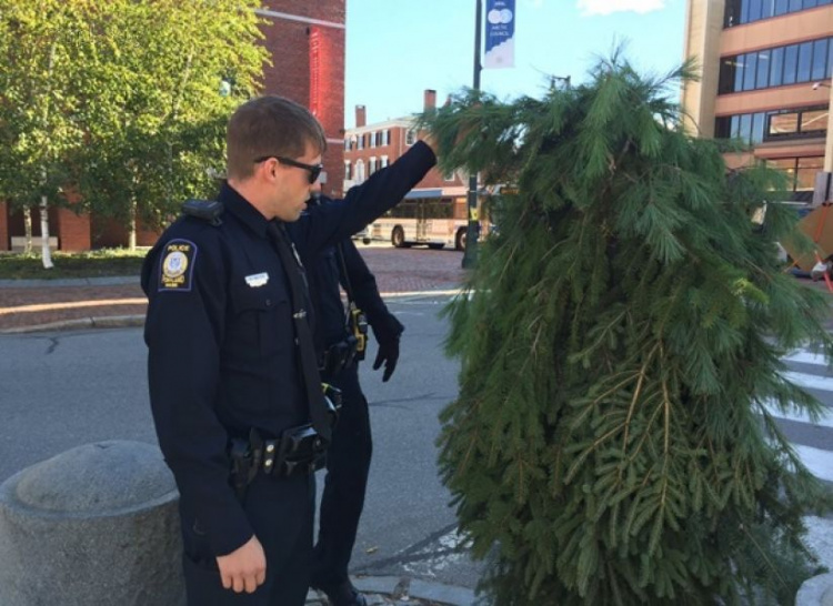 В США арестовали «человека-дерево» (ФОТО+ВИДЕО)
