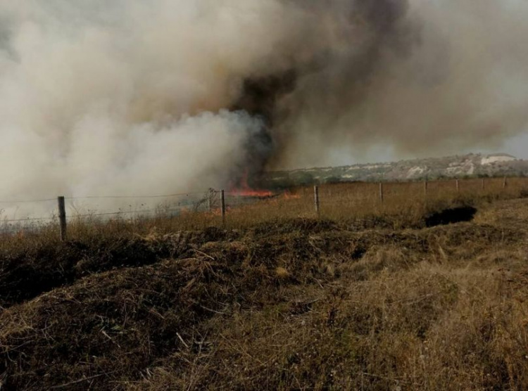 Вблизи КПВВ в Донецкой области произошел пожар (ФОТО)
