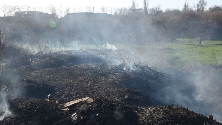 В Мариуполе пожар уничтожил поле и сторожку около реки (ФОТО)