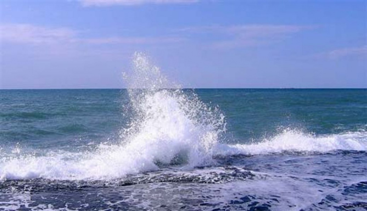 В морской воде на пляжах Мариуполя обнаружена кишечная палочка
