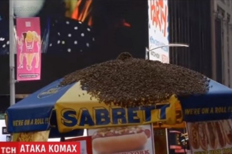В центре Нью-Йорка рой пчел напал на палатку с хот-догами (ФОТО+ВИДЕО)