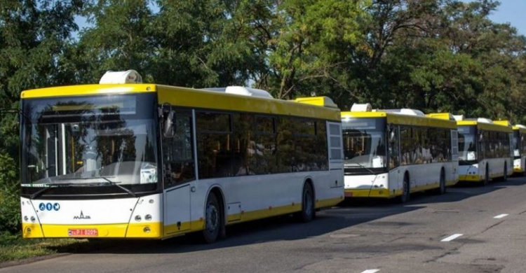 Коммунальный или частный перевозчик: кто останется в бизнесе при новой транспортной системе в Мариуполе?