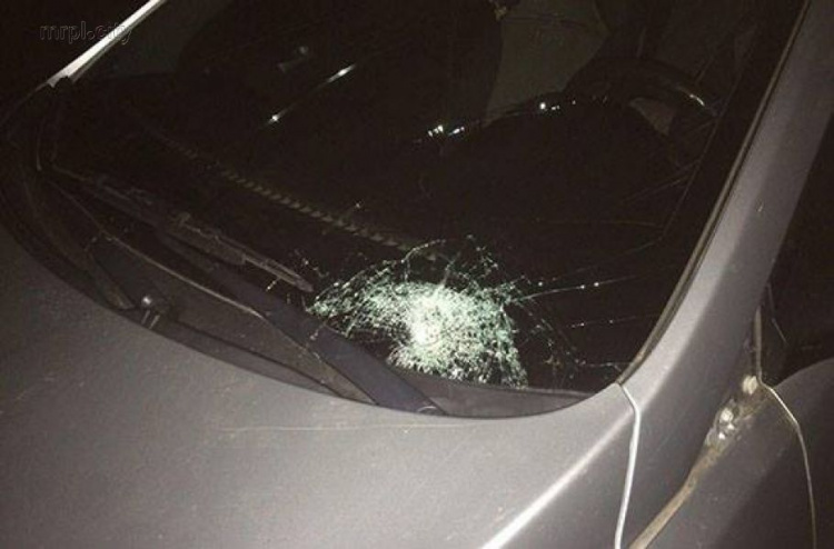 В поселке под Мариуполем автомобиль на скорости «протаранил» пешеходов и сбил женщину (ФОТО)