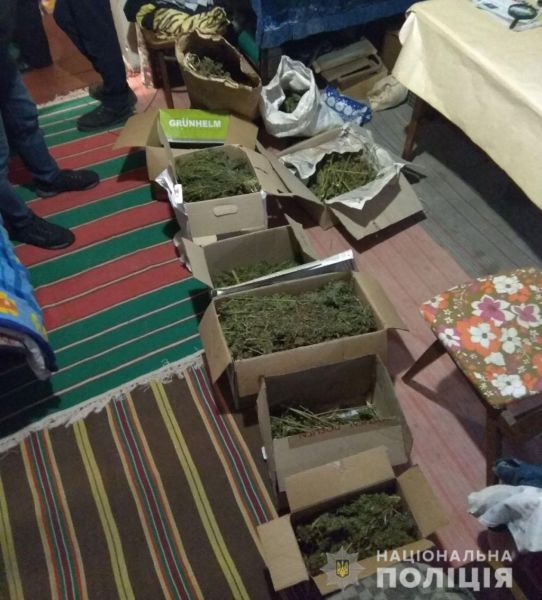Житель Донетчины хранил запасы марихуаны в промышленных масштабах (ФОТО)