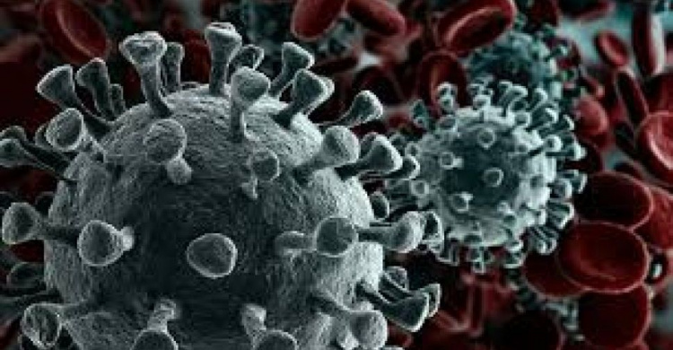 На Донетчине - более 7 тысяч заражений коронавирусом, за сутки выявили свыше 120 больных COVID-19
