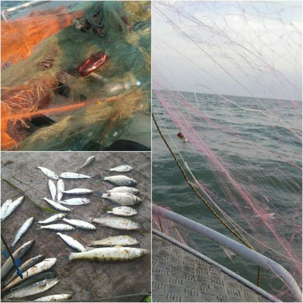 В Азовском море пограничники обнаружили сотни метров браконьерских сетей и ловушки (ФОТО)